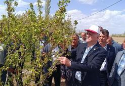 TZOB Başkanı Bayraktar: Bugün, tedbir alma, üreticimize sahip çıkma günüdür