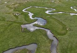 Yeşil düzlüklerin arasından süzülen menderesler eşsiz manzara oluşturdu