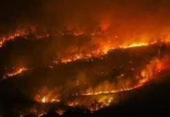 ABD’nin New Jersey eyaletinde orman yangını nedeniyle zorunlu tahliye emri verildi