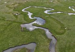 Yeşil düzlüklerin arasından süzülen menderesler eşsiz manzara oluşturdu