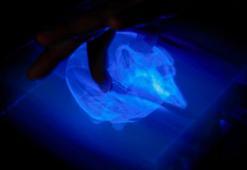 Dünyanın ilk etkileşimli 3D hologramı geliştirildi