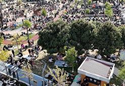 Depremin ardından Zeytinburnu Millet Bahçesi'ndeki yoğunluk havadan görüntülendi