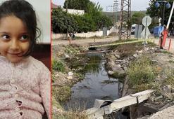 Sulama kanalında ellerini yıkarken elektrik akımına kapılan Özlem ile onu kurtarmak isteyen annesi öldü