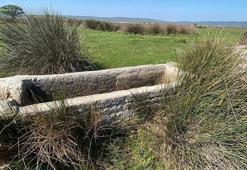 Çanakkale’de, İngiliz ve Fransızlar arkeolojik kazı yapıp, buldukları eserleri ülkelerine götürmüş