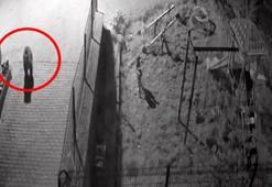 Sokak köpekleri, konteynerde yiyecek arayan ayıyı kovaladı