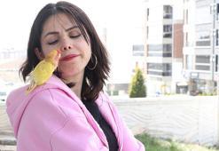 Sahiplendiği papağanını yanından ayırmıyor