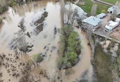 Ağrı'da dere taştı; evler su altında kaldı