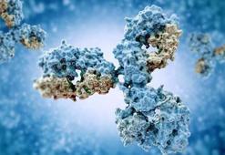 Araştırma: Bağışıklık sistemi, insanların ruh halini etkiliyor