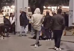 Bakırköy'de ağızlıksız gezdirilen pitbull köpeğe saldırdı; sahibine 76 bin lira ceza