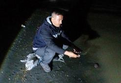 Van'da kaçak avlanan 60 kilo canlı inci kefali ele geçirildi