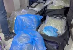 Petshopa uyuşturucu operasyonu: 4 gözaltı