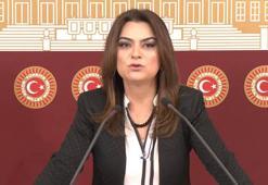 DEM Parti'li Koçyiğit: Tecridin sonlandırılması biricik önemdedir