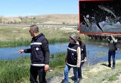 Van'da ekipler, 7/24 inci kefali denetiminde