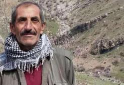 Şırnak’ta çoban ölü bulundu