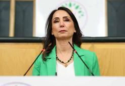 DEM Parti'li Hatimoğulları: Silahsızlanma sürecinin başarıyla sonuçlanması için koşulların sağlanması elzemdir