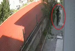 Sahiplendiği köpekleri evde parçalayıp, öldürdüğü iddia edilen doktor tutuklandı; vahşetin bir bölümü kamerada