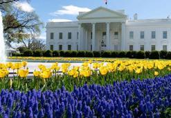 Beyaz Saray: Trump otomobil tarifelerine ilişkin kararname imzalayacak