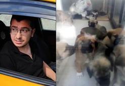Doktorun sahiplenip öldürdüğü iddia edilen köpek sayısı 26'ya ulaştı