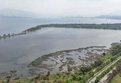 İzmir Körfezi için umutlandıran ölçüm