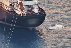 Antalya Körfezi'nde sintine atığı alarmı; kirlilik 3 kat arttı