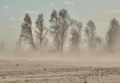 Arap ülkeleri kum fırtınasının etkisi altına girdi