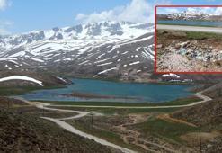 Mangalcının çöpü, driftçinin lastik izinin harap ettiği yayla, bu bahar çiçeksiz kaldı