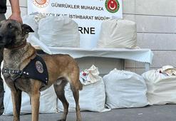 Kapıkule’de otobüsteki 87 kilo uyuşturucuyu Jeff buldu; 3 tutuklama