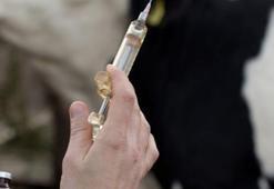 Tayland’da şarbon kaynaklı ilk ölüm bildirildi