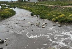 Tekirdağ'da çevreyi kirleten tesislere 50 milyon 212 bin lira ceza