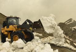Bitlis'te karla mücadele bitti; 25 milyon TL harcandı