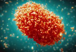 Pakistan'ın Bacur bölgesinde maymun çiçeği vakalarındaki artış nedeniyle 12 günlük kapanma ilan edildi