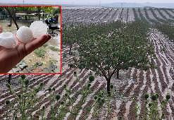 Şanlıurfa'da dolu; tarım arazileri zarar gördü