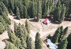 Bartın ve Karabük yaylalarında ilkbahar güzelliği