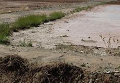 Kayseri'de sağanak ve dolu, tarım alanlarına zarar verdi