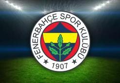 Fenerbahçe Gönüllüleri Derneği seçimli genel kurul için imza kampanyası başlattı