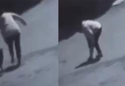 Tekirdağ'da sokak köpeğinin ısırdığı kadın yaralandı; o anlar kamerada