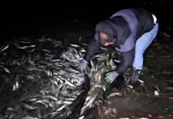 Van'da kaçak avlanan 2,5 ton inci kefali ele geçirildi