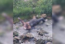 Cezaevinden izinli çıktı, dere yatağında ölü bulundu