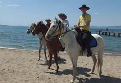 Plaja atla geldiler