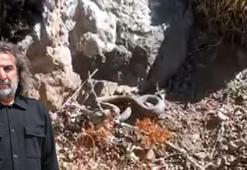 Prof. Dr. Aslan: Yılanlar ekosistemin vazgeçilmez öğeleri