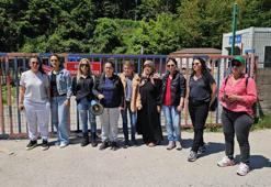 Köpek, saldırgan olduğu gerekçesiyle uyutuldu, hayvanseverler tepki gösterdi