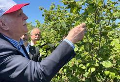 TZOB Genel Başkanı Bayraktar: Zirai don hasarı yüzde 100