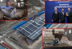 Çay çöpünden enerji üretimine ödül