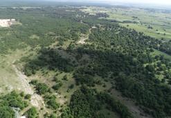 Kırklareli'de ormanlara girişler yasaklandı