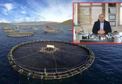 Prof. Dr. Dinçer: Kültür balıkları en güvenilir gıdalar arasında