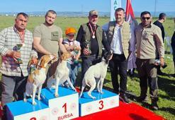 Fermalı av köpekleri yarıştı; avcılar yoğun ilgi gösterdi