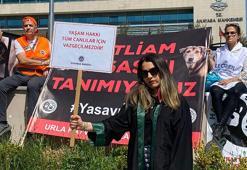 Hayvanseverlerden, AYM önünde 'Hayvanları Koruma Kanunu' nöbeti