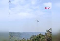 Sultangazi Kent Ormanı'nda çıkan yangın söndürüldü