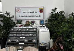 Evinde uyuşturucu imal eden şüpheli tutuklandı