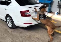 Van ve Şanlıurfa'da narkotik operasyonlarında 4 gözaltı